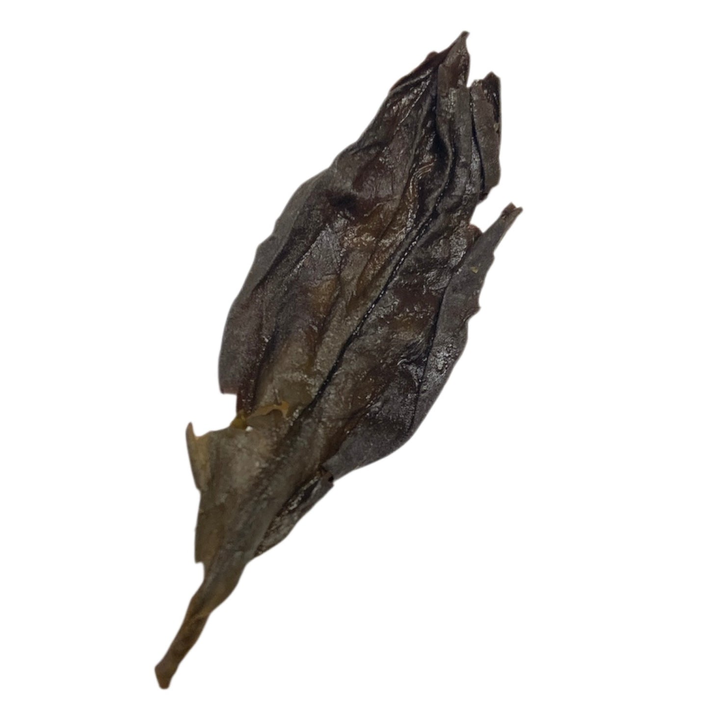 Jin Suo Shi 金鎖匙