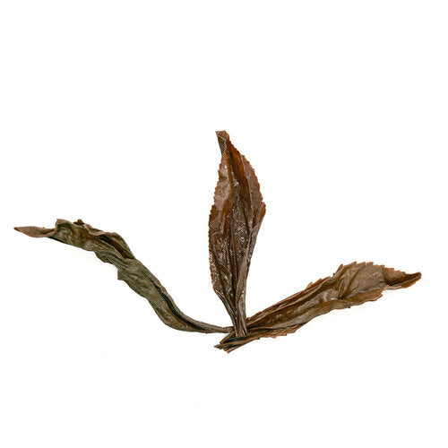 Zheng Shan Xiao Zhong (Lapsang Souchong) 正山小種