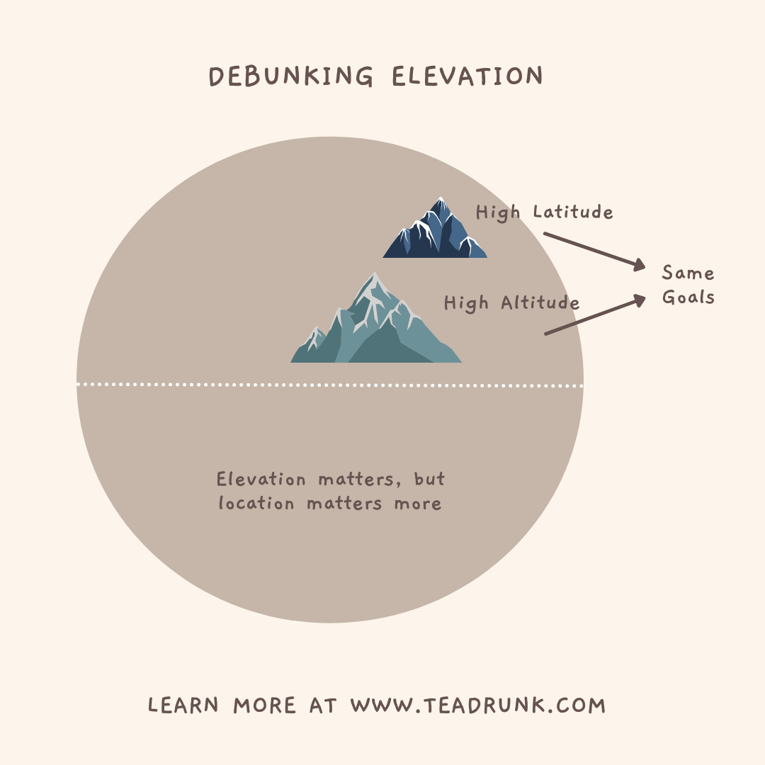 Infographic showing high-latitude and high-altitude mountains both leading to the same tea-growing goals.