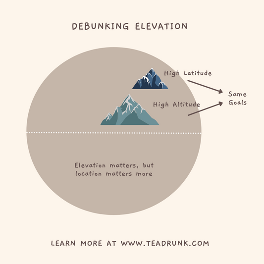 Infographic showing high-latitude and high-altitude mountains both leading to the same tea-growing goals.