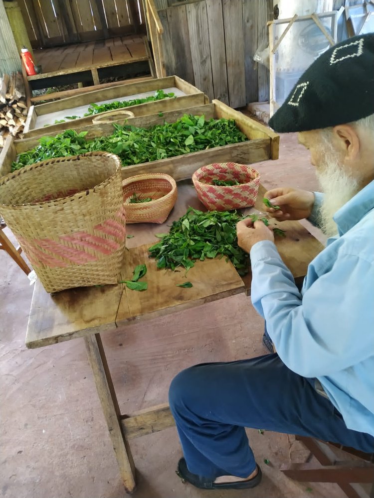 An older man in a wool cap hand-sorts fresh green tea leaves at a wooden table beside woven baskets.