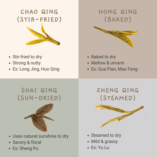 Grid comparing four green tea leaf types by drying method: stir-fried, baked, sun-dried, and steamed.