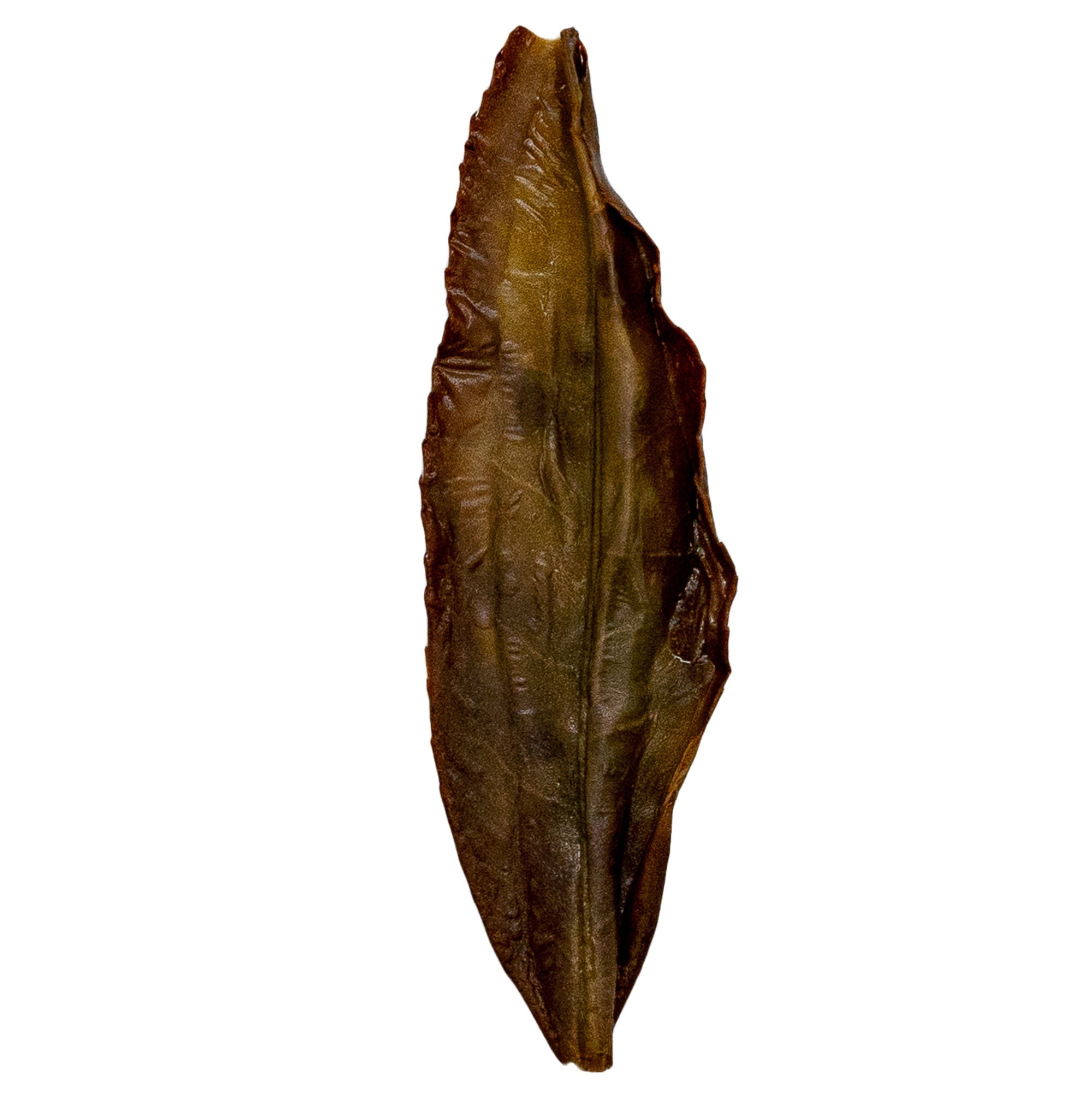 Bai Ye 白葉 Feng Huang Dan Cong loose leaf oolong tea