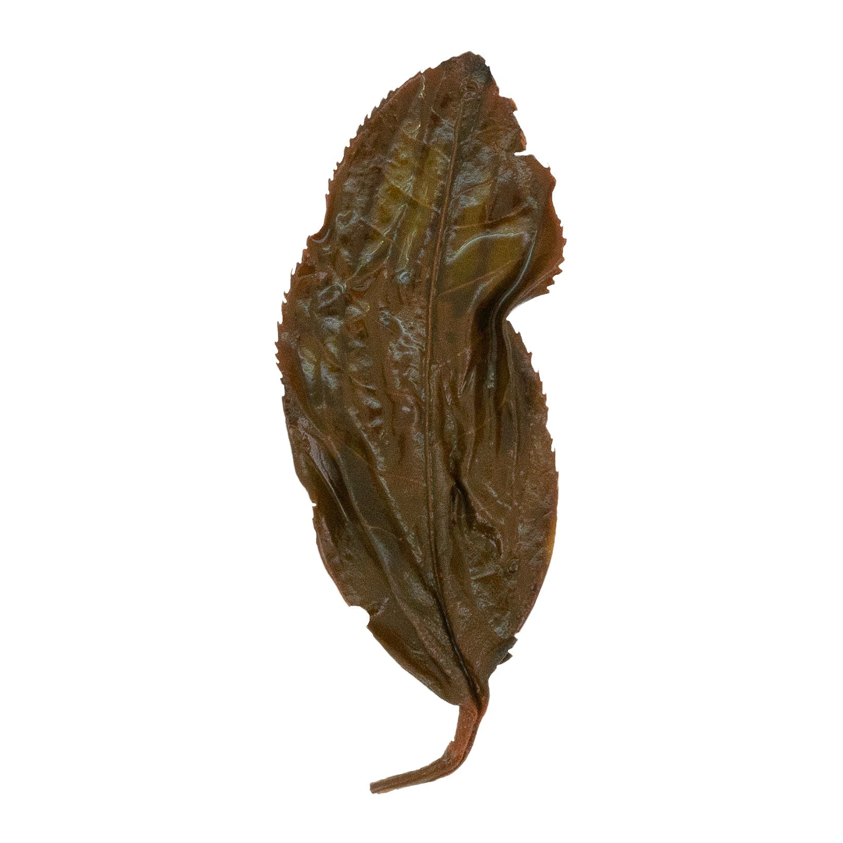Dian Hong 滇紅 loose leaf red (black) tea