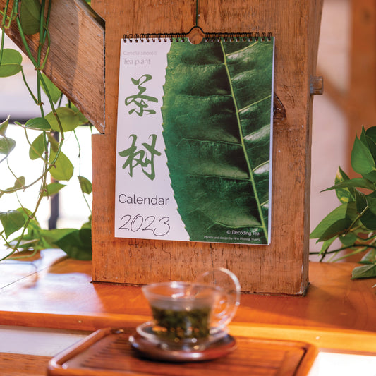 A glass teapot of green tea leaves in front of a 2023 tea plant wall calendar.