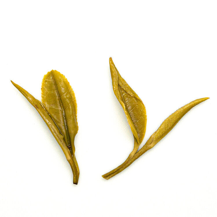 Huo Shan Huang Ya 霍山黃芽 loose leaf yellow tea