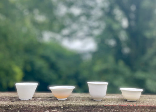 Four different white tea cups lined up outdoors against a blurred green backdrop.