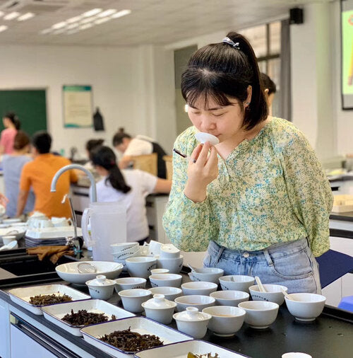 Woman smelling tea aroma from a cup lid during a tea tasting session with rows of gaiwans