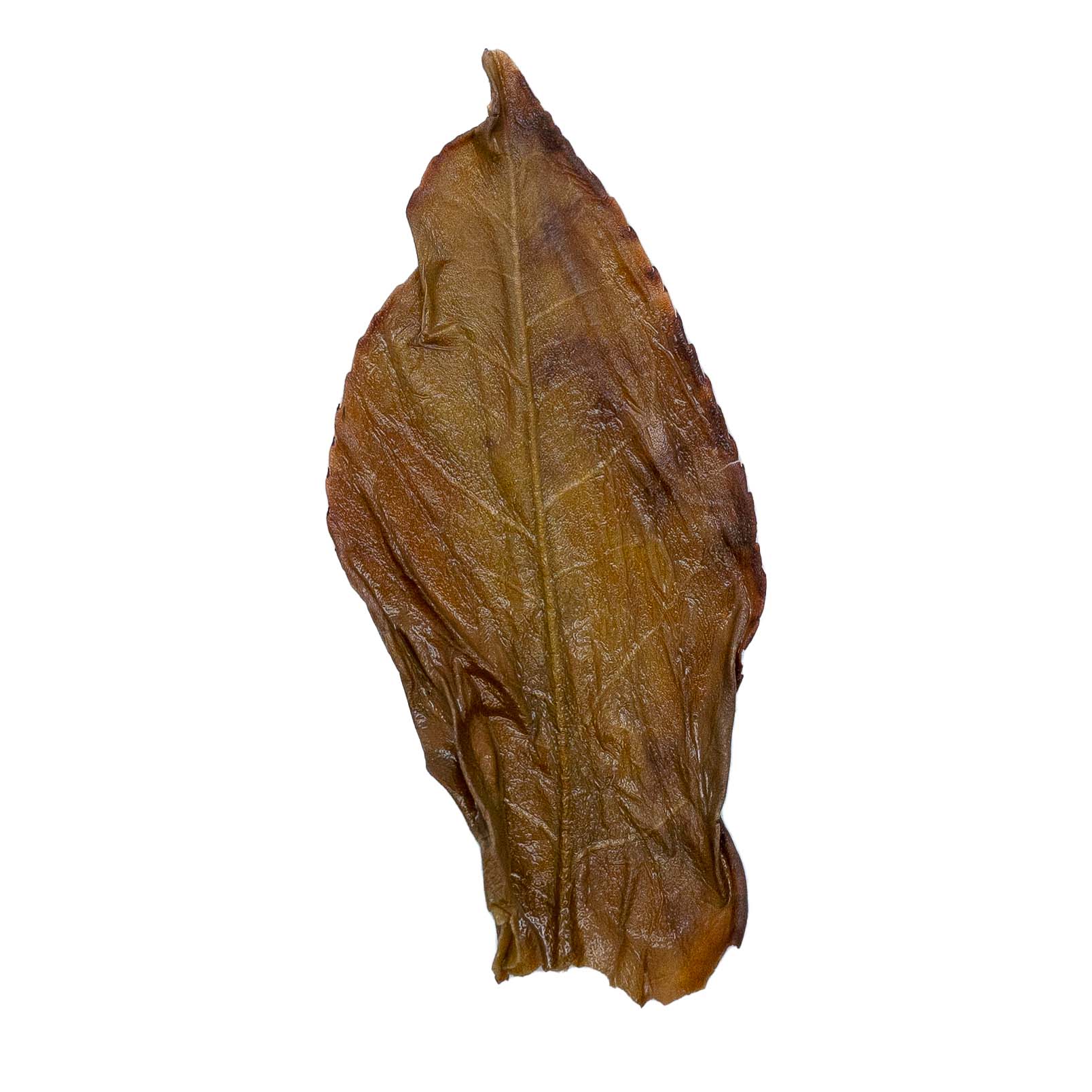 Lei Kou Chai 雷扣柴 Feng Huang Dan Cong loose leaf oolong tea