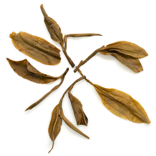 You Le Long Pa 攸樂龍帕 (亞諾) sheng Pu Er tea