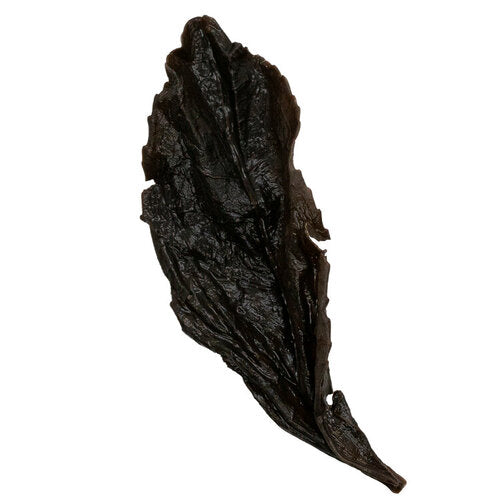 Rou Gui 肉桂 Wu Yi Yan Cha loose leaf oolong tea