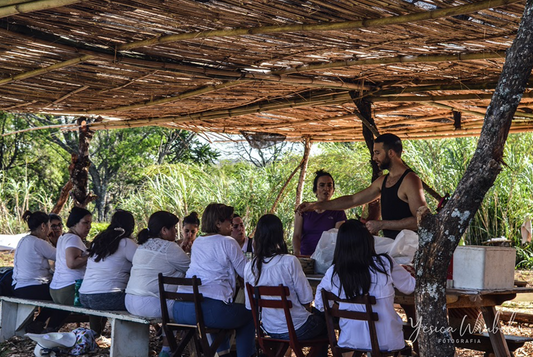 Group seated under a woven bamboo shelter listening to two hosts speak, tea fields in the background.