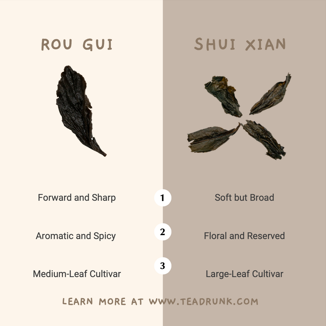 Side-by-side comparison of Rou Gui and Shui Xian oolong tea leaves with their contrasting flavor traits.