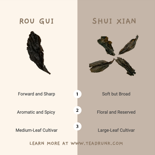Side-by-side comparison of Rou Gui and Shui Xian oolong tea leaves with their contrasting flavor traits.