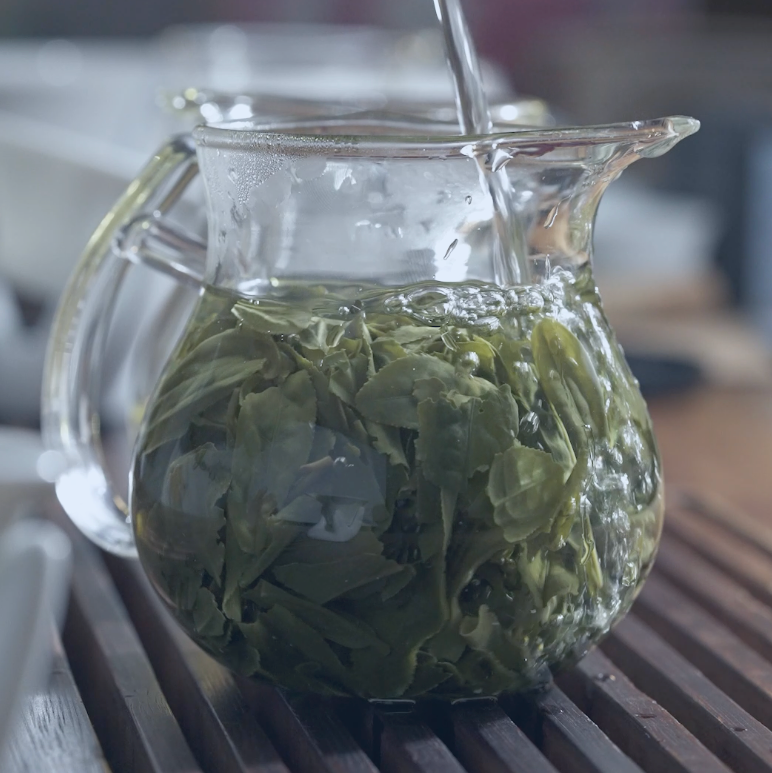 Green tea leaves steeping in hot water inside a glass pitcher.