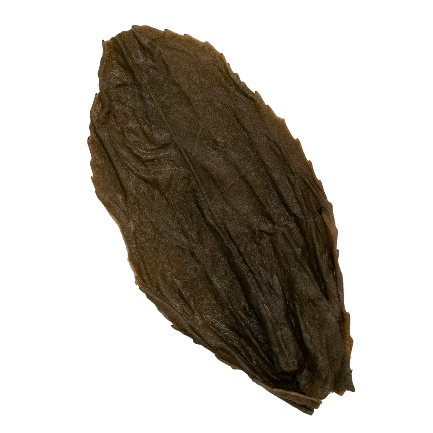 Ya Shi Xiang (Duck Shit) 鴨屎香 Feng Huang Dan Cong loose leaf oolong tea