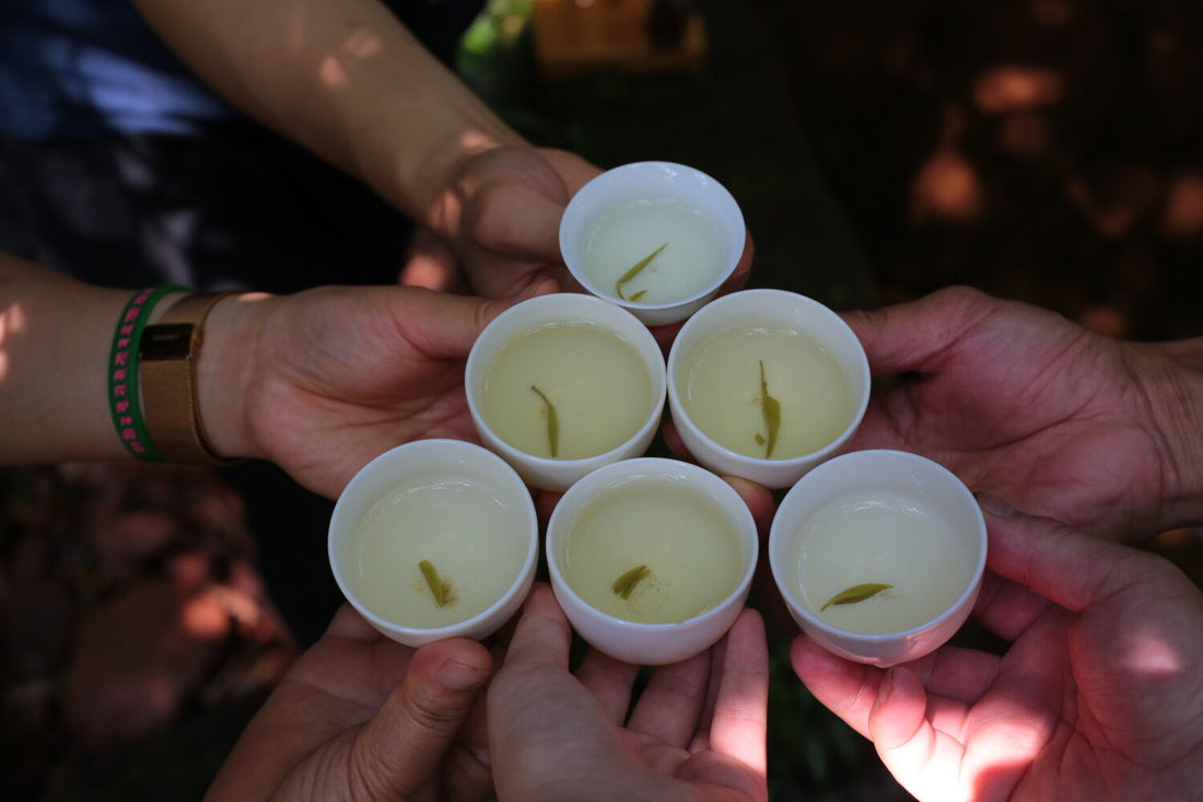 Three glass pitchers and cups of golden tea beside a flowering plum branch