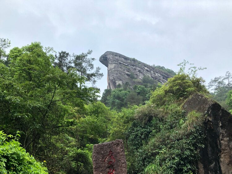 Ban Tian Yao 半天腰