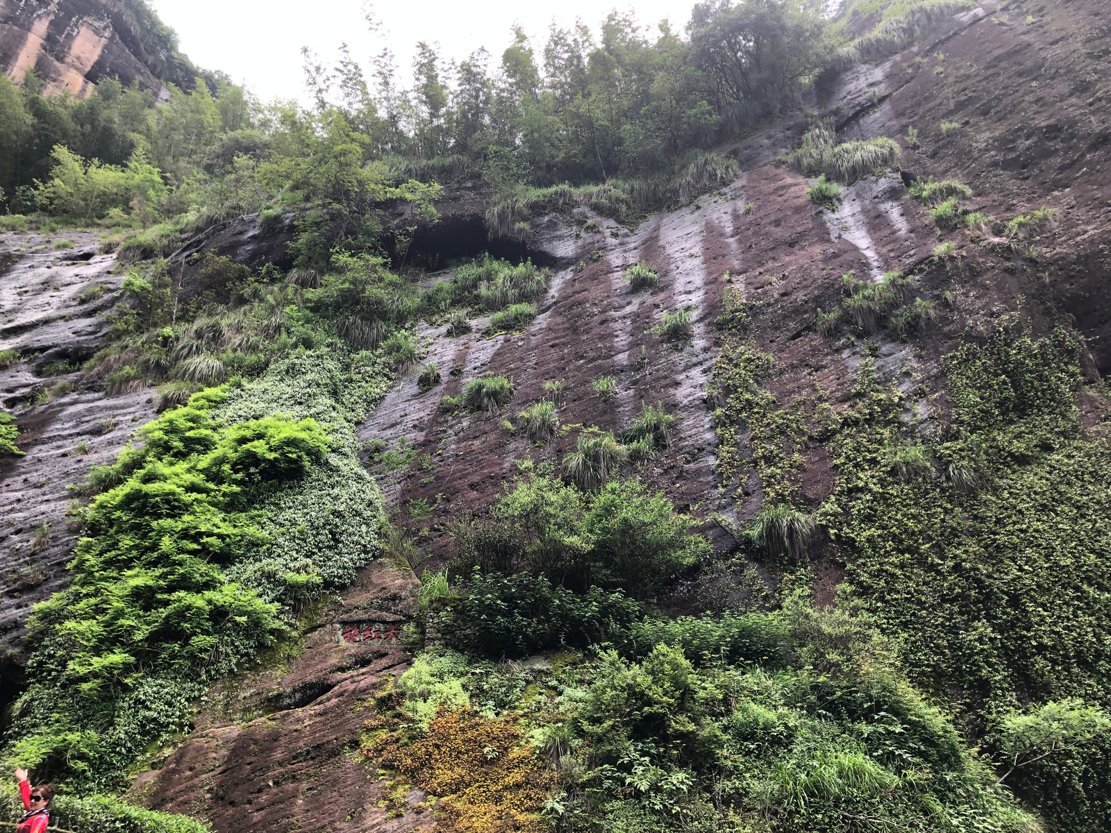 Huang Guan Yin 黃觀音 — Everyday Collection