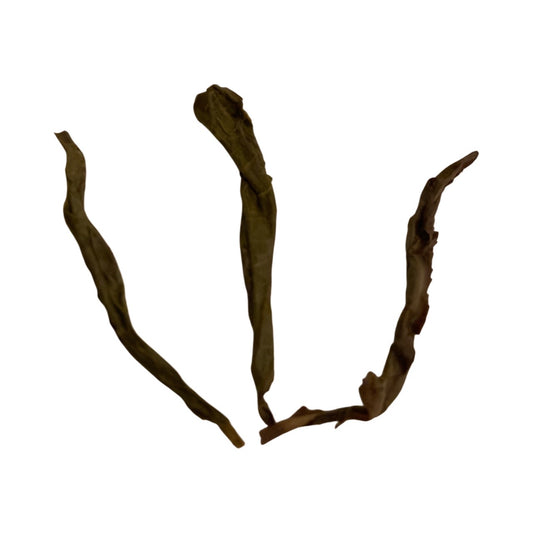 Huang Zhi Xiang 黃枝香