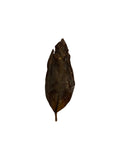 Mi Tao Xiang 蜜桃香 Feng Huang Dan Cong loose leaf oolong tea