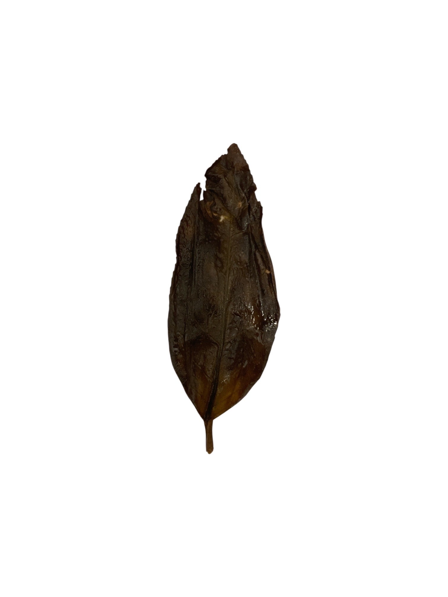 Mi Tao Xiang 蜜桃香 Feng Huang Dan Cong loose leaf oolong tea