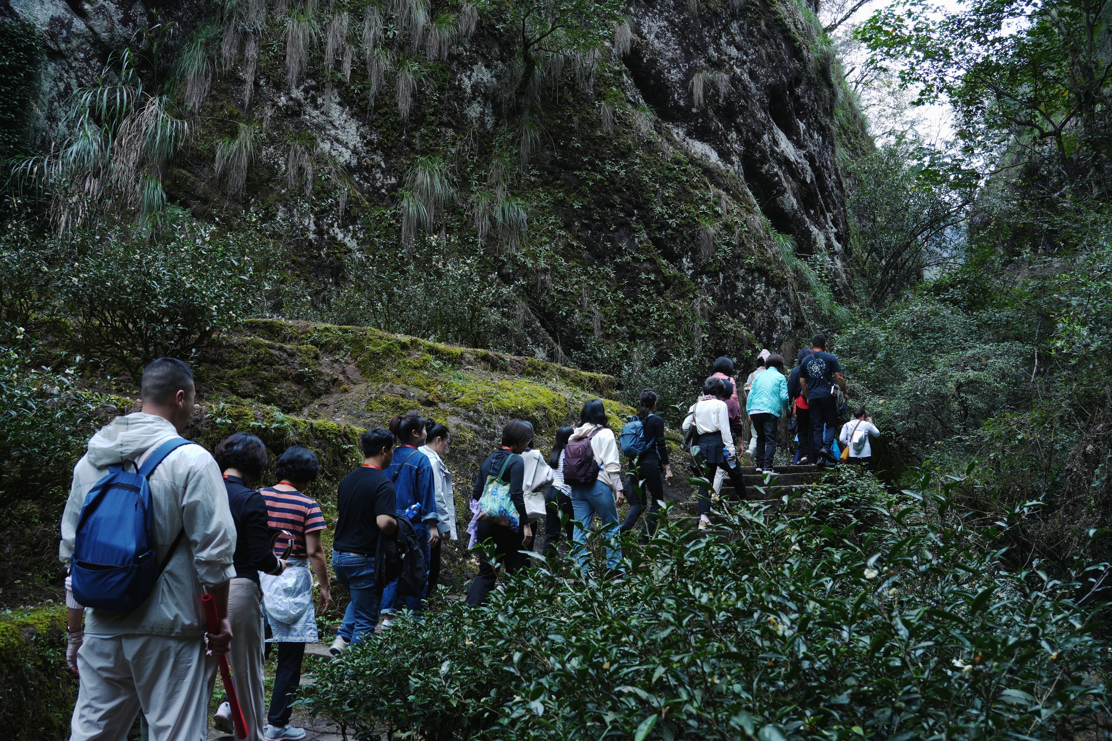 Educational Tea Tour Wu Yi Shan — scene from the tour