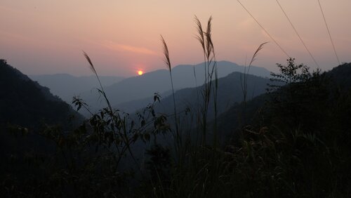 Nan Nuo Shan Zhu Lin Zhai 南糯山竹林寨