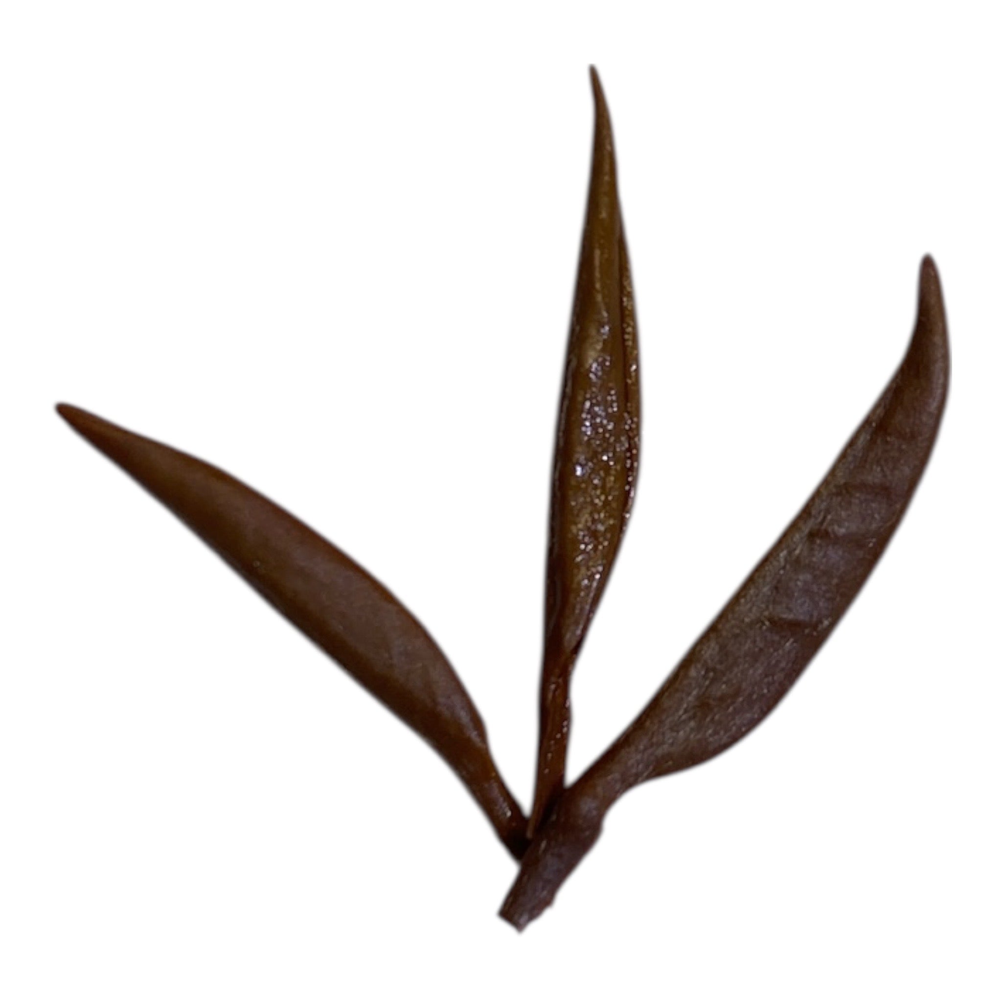 Jin Jun Mei 金駿眉 loose leaf red (black) tea
