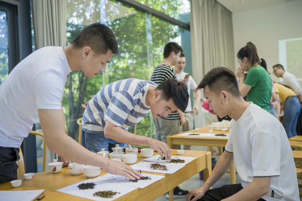 Educational Tea Tour Wu Yi Shan — scene from the tour — fifth view