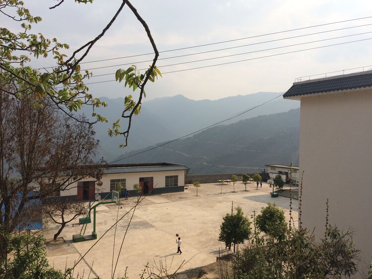 Wu Liang Shan (Yellow Tea) 無量山 (黃茶）