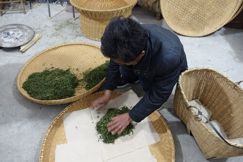 Huo Shan Huang Ya 霍山黃芽