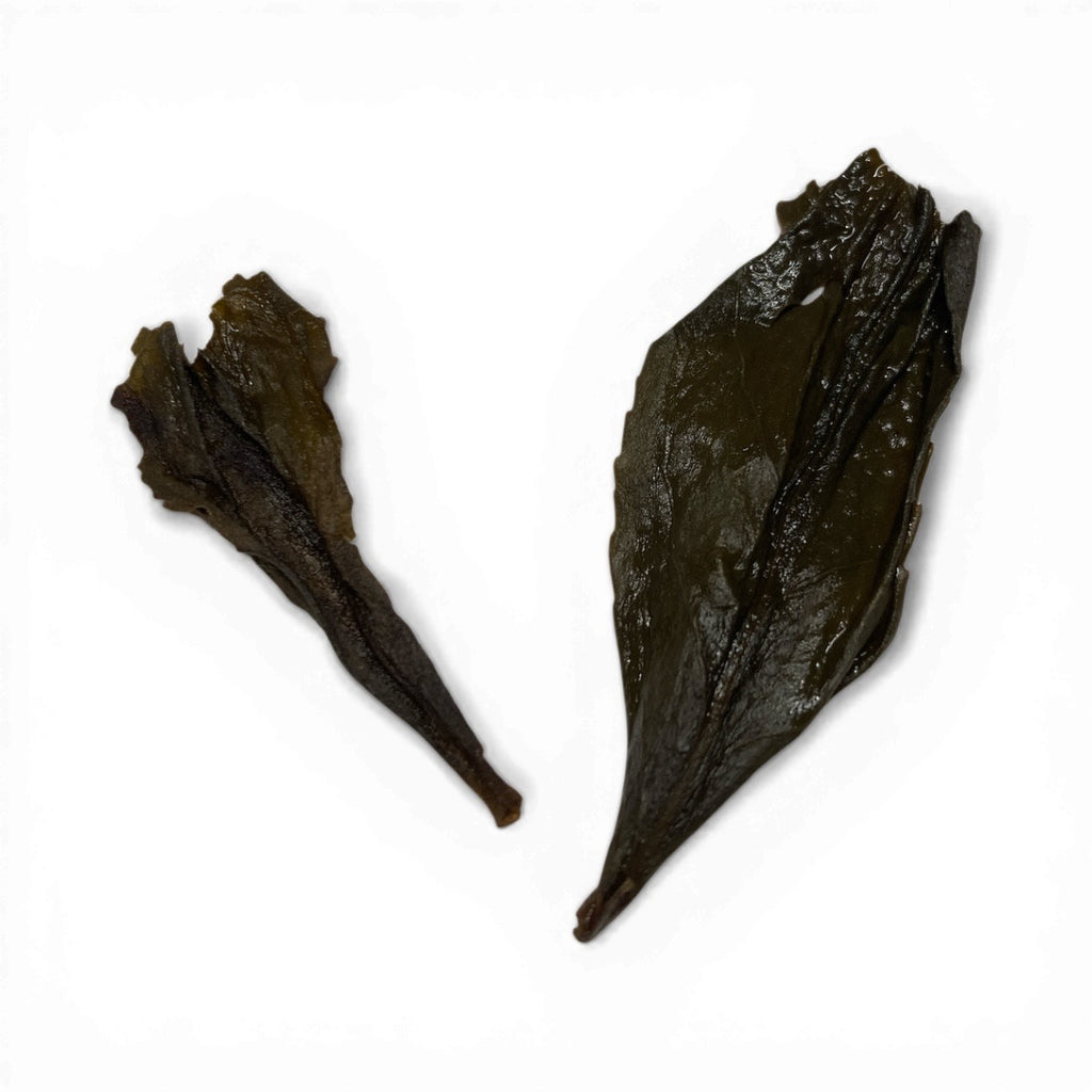 Tie Luo Han loose leaf tea — third view
