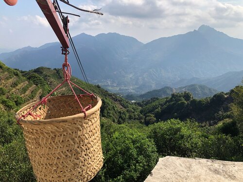 Bai Ye 白葉 — Reserve Collection