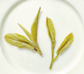 Xin Yang Mao Jian 信陽毛尖 loose leaf green tea