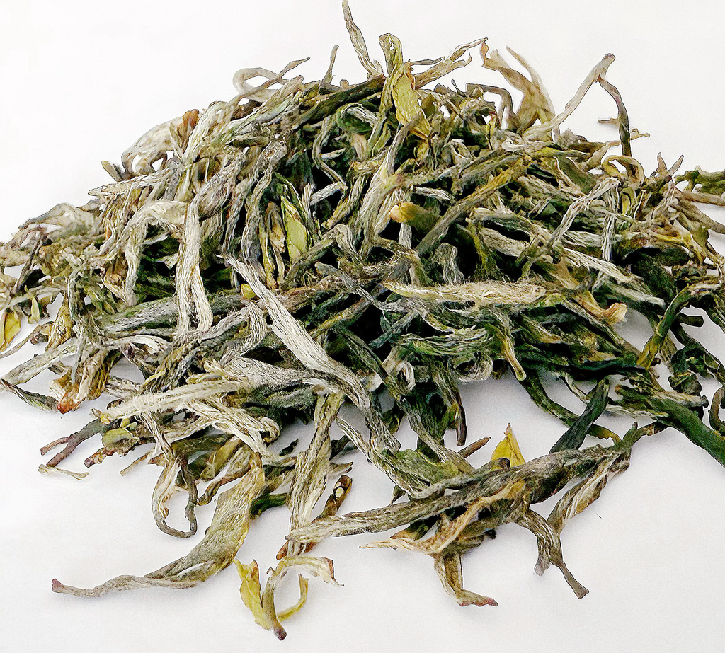 Xin Yang Mao Jian loose leaf tea