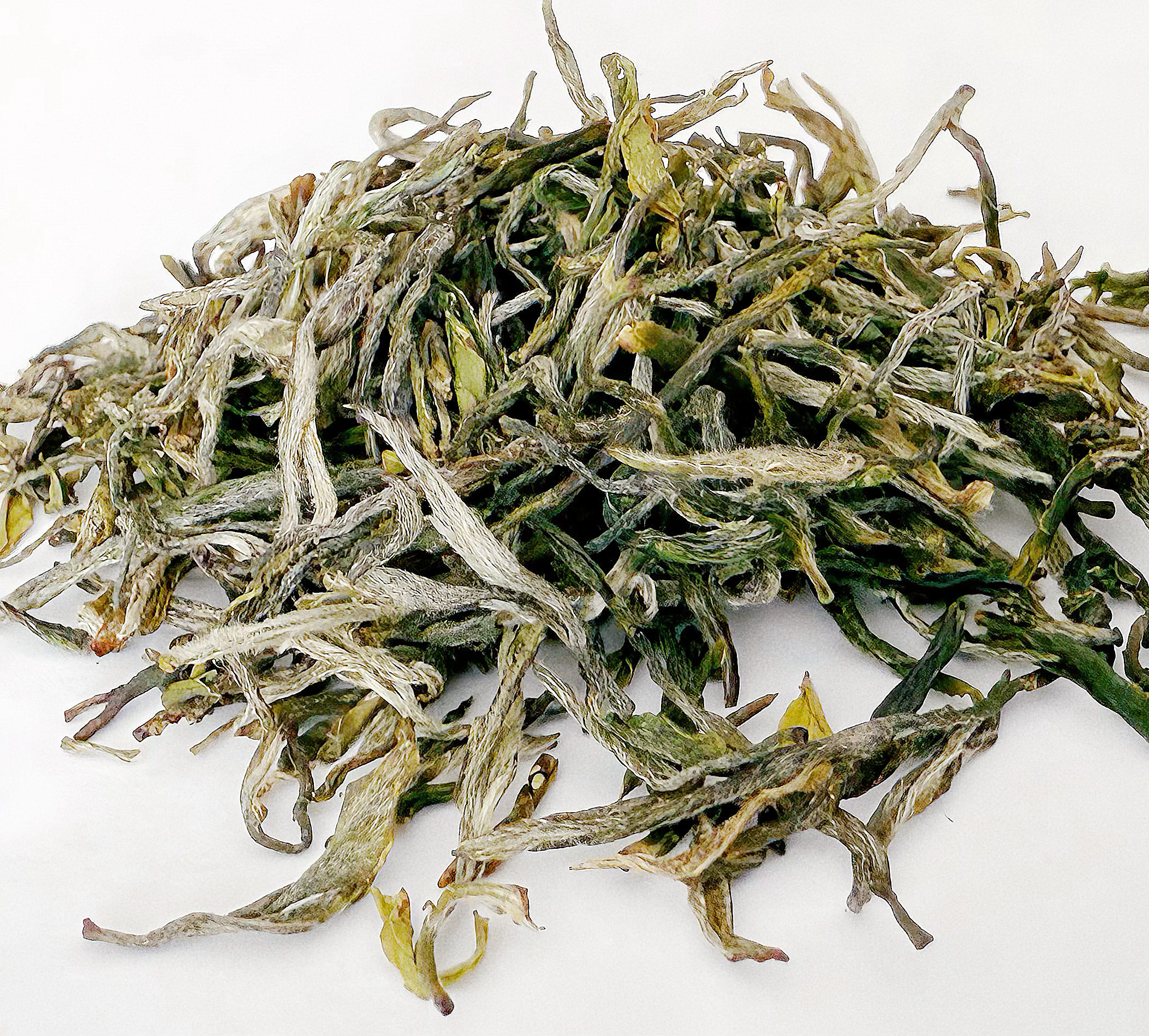 Xin Yang Mao Jian loose leaf tea