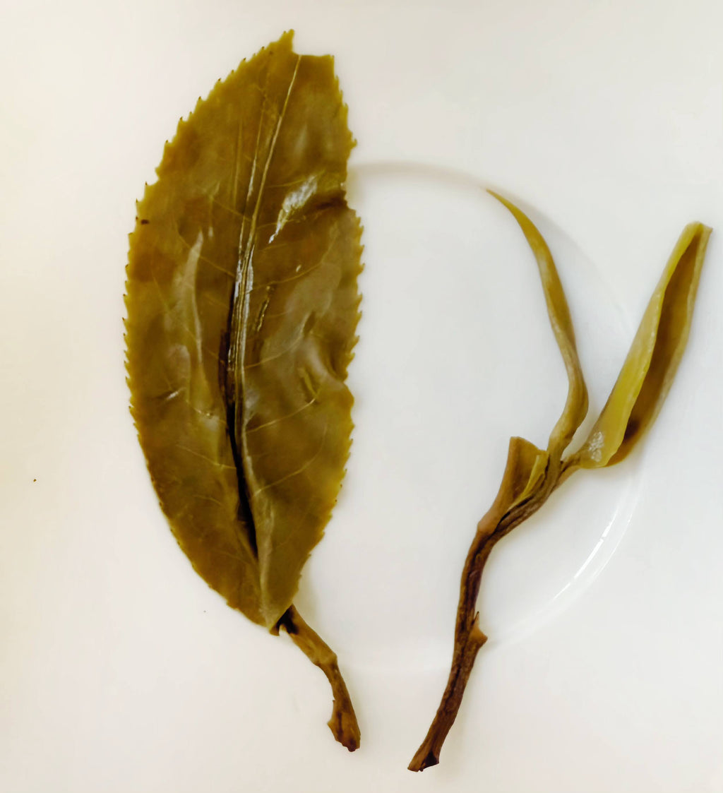 Da Si Single Tree #62 loose leaf tea — second view