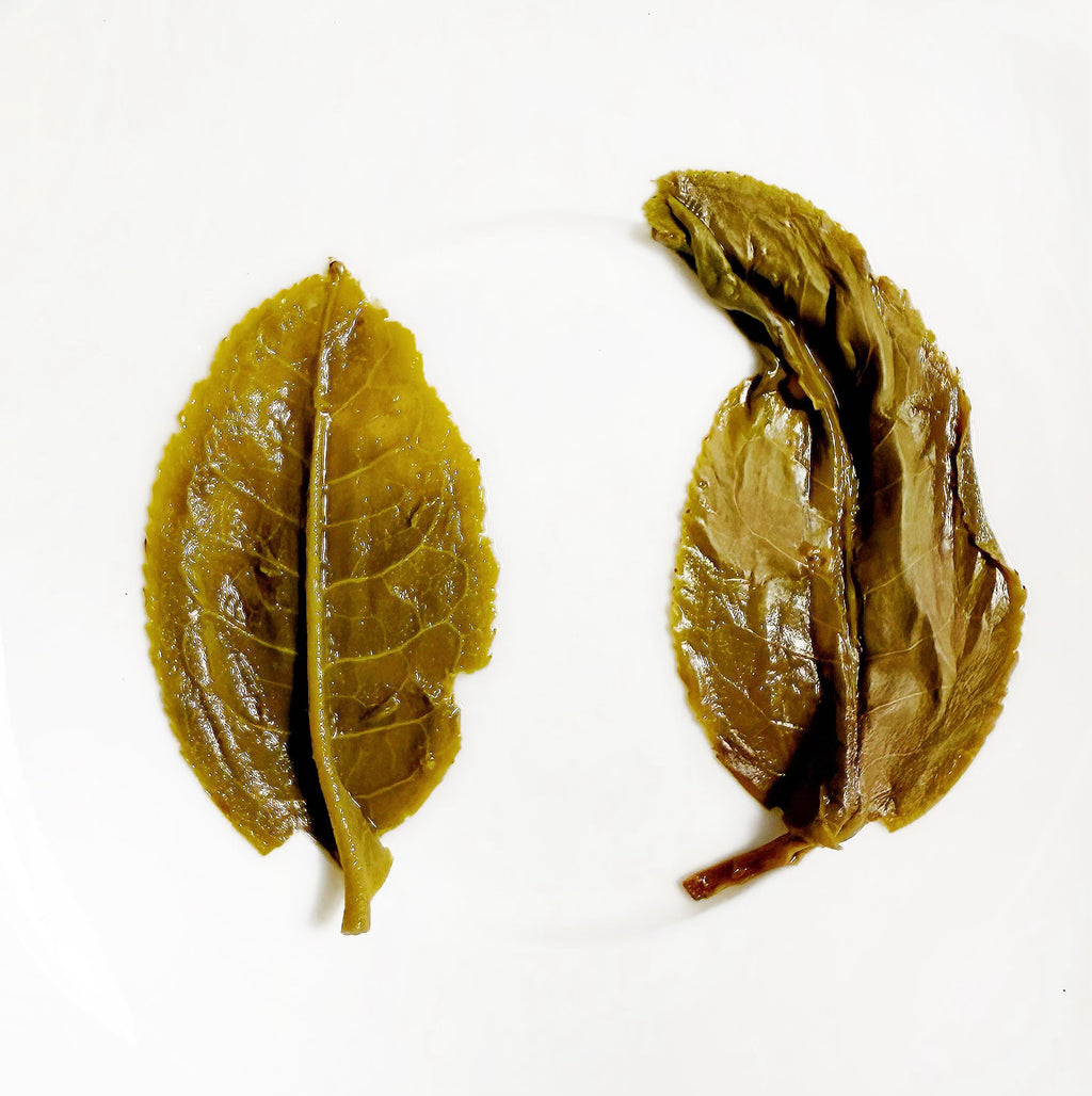 Wu Liang Shan (Yellow Tea) loose leaf tea — third view