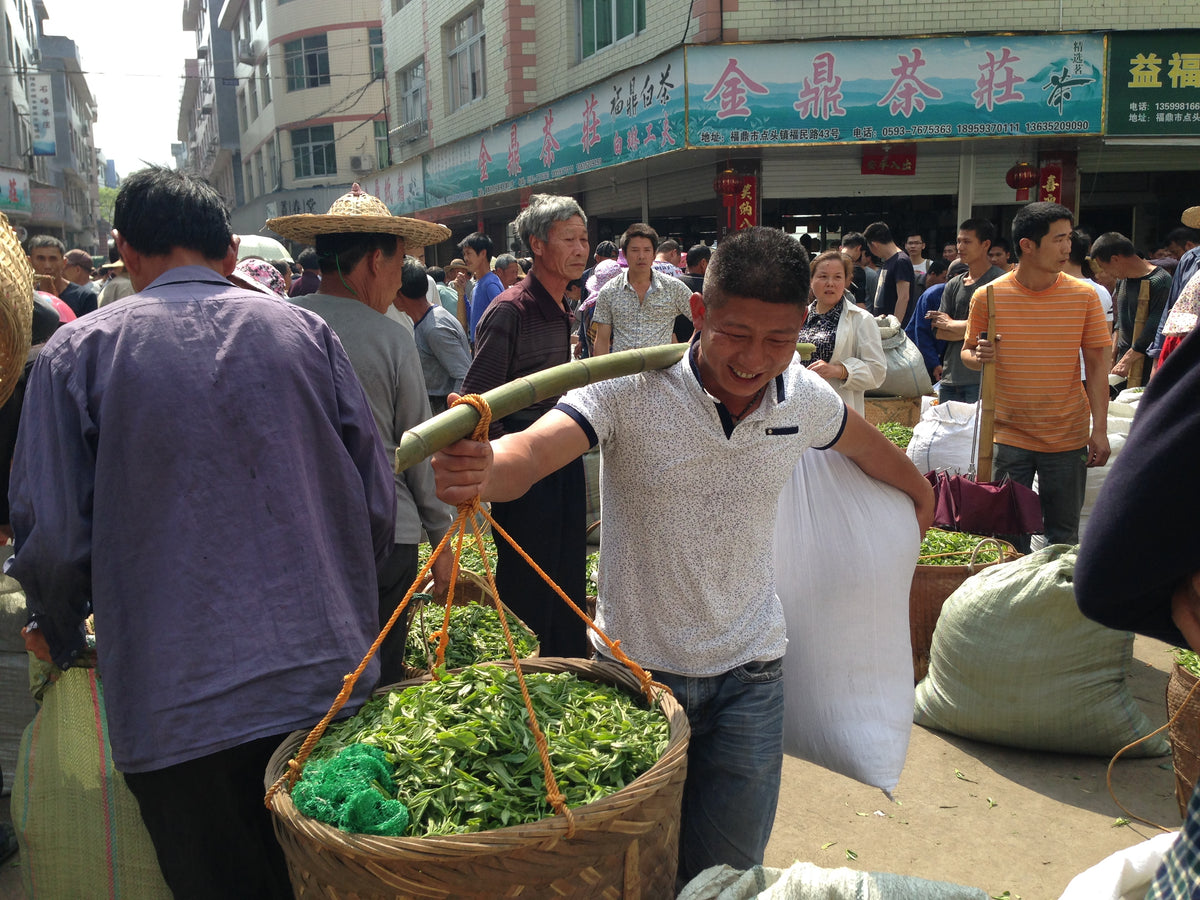 Bai Mu Dan 白牡丹 — Everyday Collection