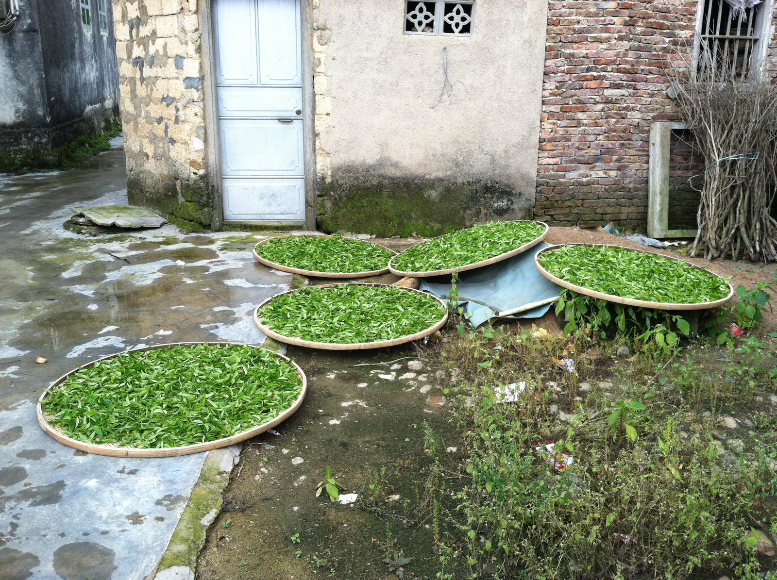 Lei Kou Chai 雷扣柴