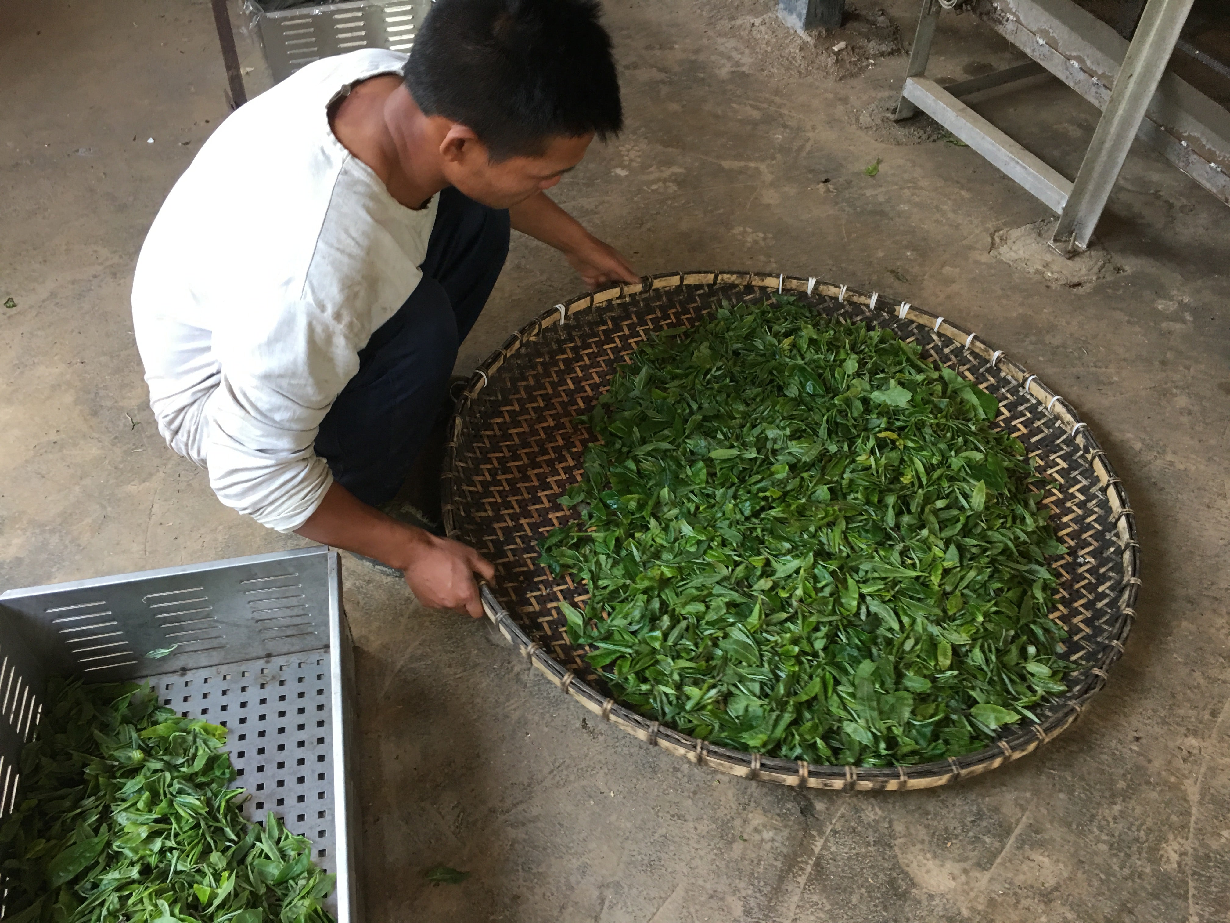 About Tea Drunk The World's Most Prized Loose Leaf Tea Producer