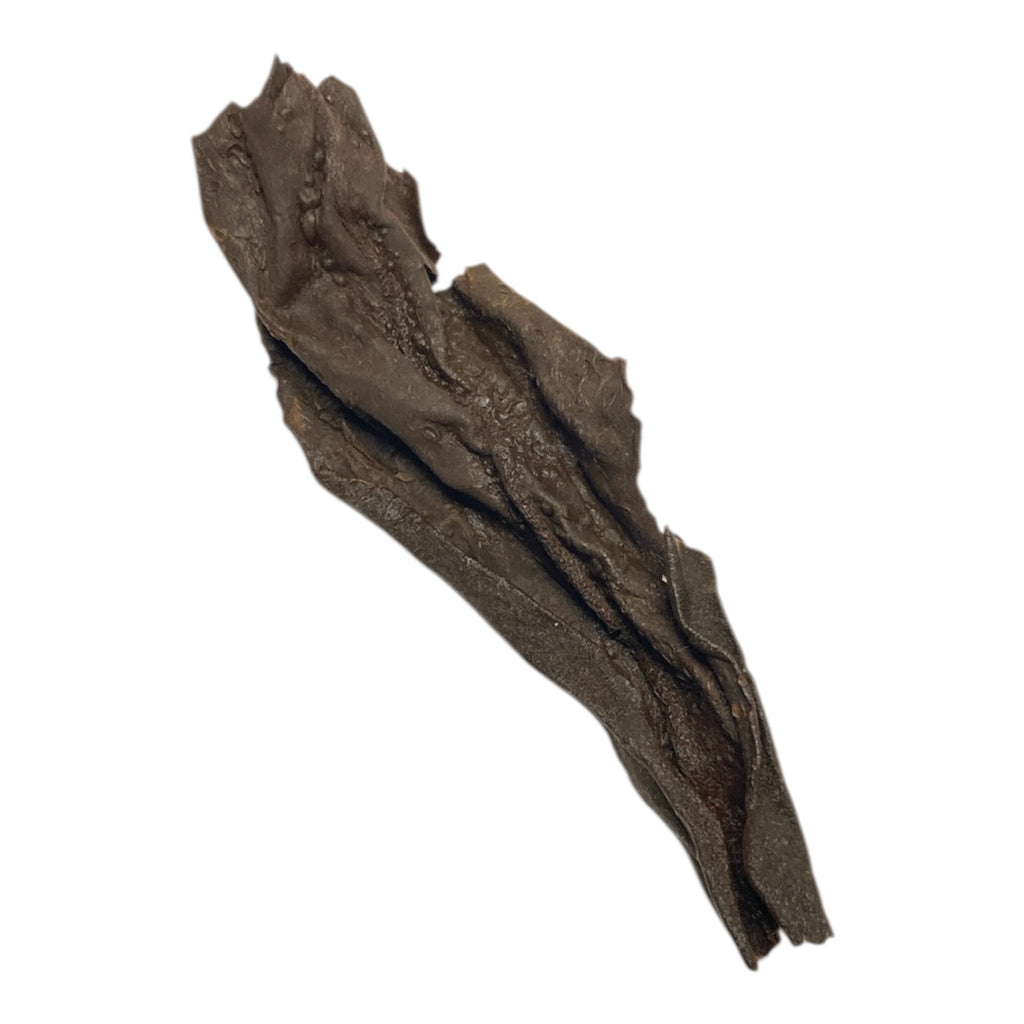 Bai Mu Dan (Wu Yi Yan Cha) — spent leaves after brewing