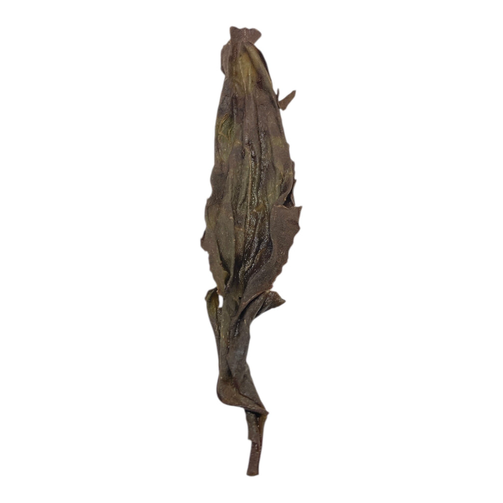 Yu Qi Lin — spent leaves after brewing