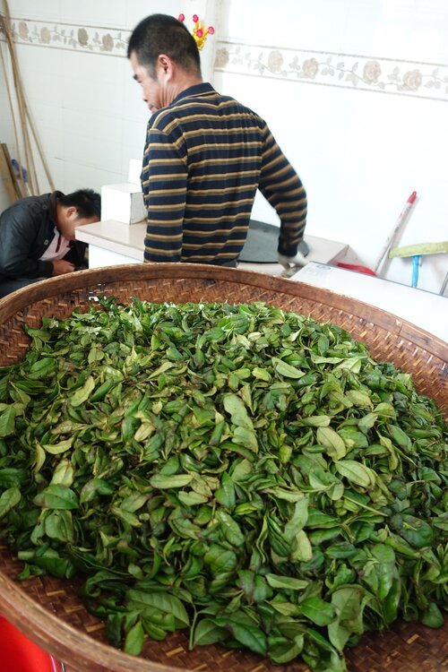 Jiang Hua Xiang (Ginger Flower) 薑花香