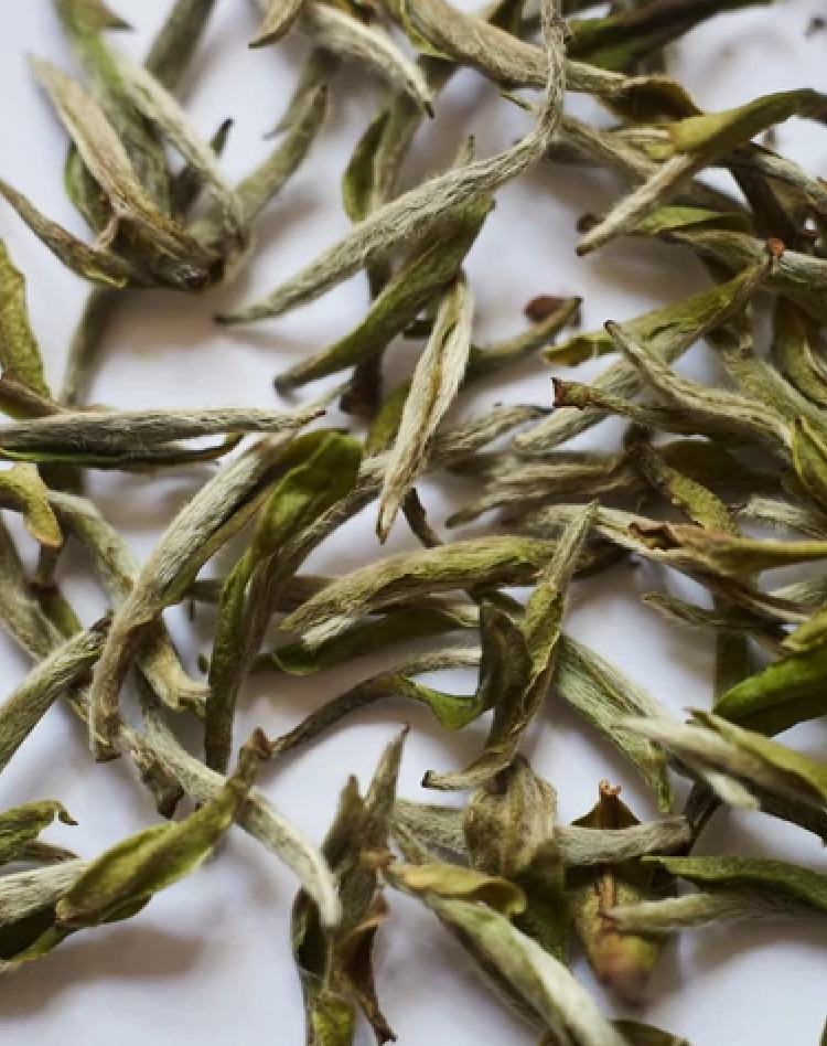 loose leaf Chinese white tea