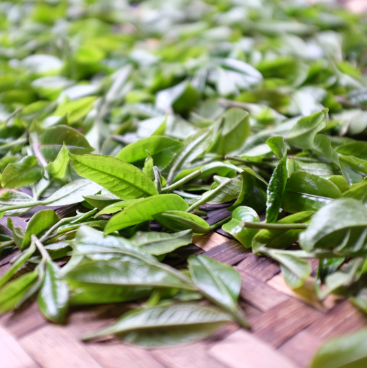 2025 Annual Tea Season Pre-Sale
