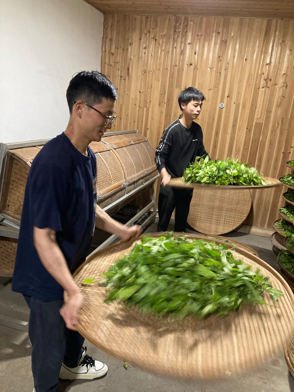 Educational Tea Tour Wu Yi Shan — Yan Cha wu long processing