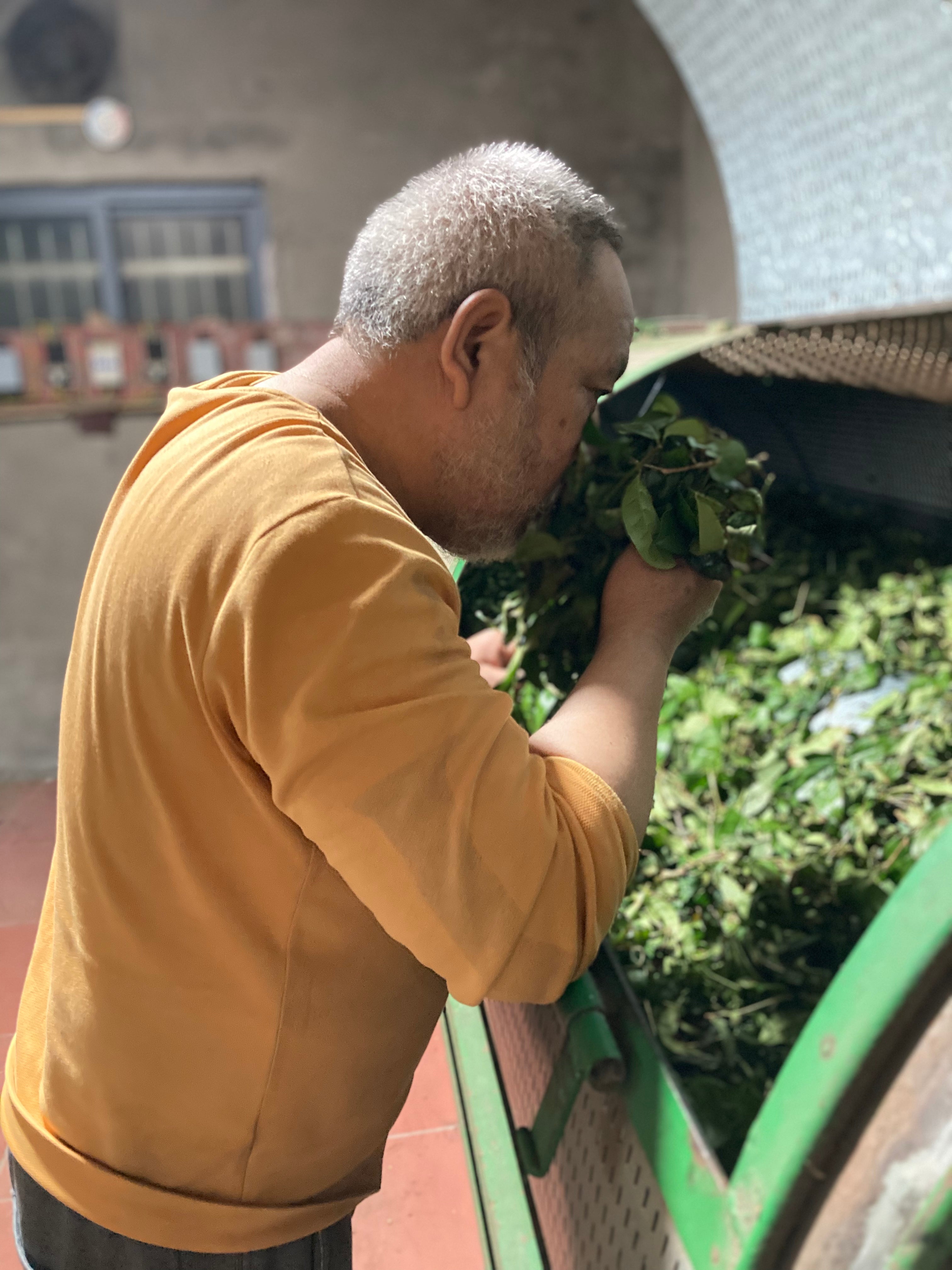Educational Tea Tour Wu Yi Shan — Yan Cha wu long processing — third view