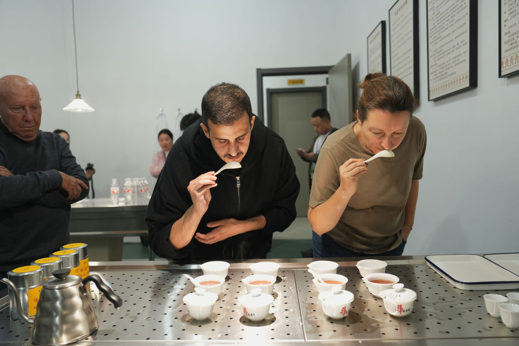 Educational Tea Tour Wu Yi Shan — a tea evaluation session on the tour